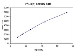 Eurofins DiscoverX PKC Protein, Active 250 &mu;g | Buy Online | Eurofins DiscoverX | Fisher Scientific